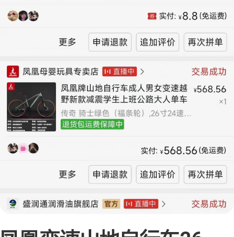 凤凰变速电动折叠车,后驱电机,电池放储物箱...
