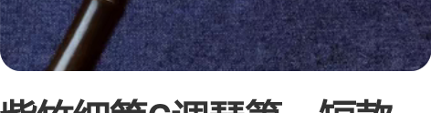 紫竹细管G调琴箫，短款琴箫 紫竹正手g调八...
