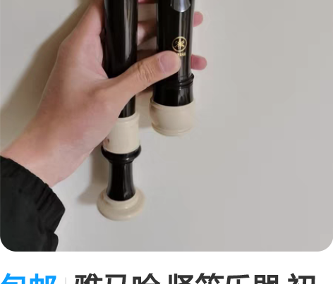 包邮雅马哈 竖笛乐器 初学者YRA302B...