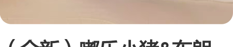 （全新）嘟乐小猪##amp；amp；布朗熊...