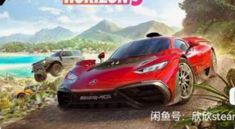 地平线5 下单发Steam账号密码,Ste...