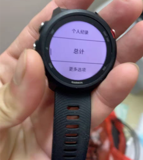包邮佳明245m音乐版手表,国行中文正品,...
