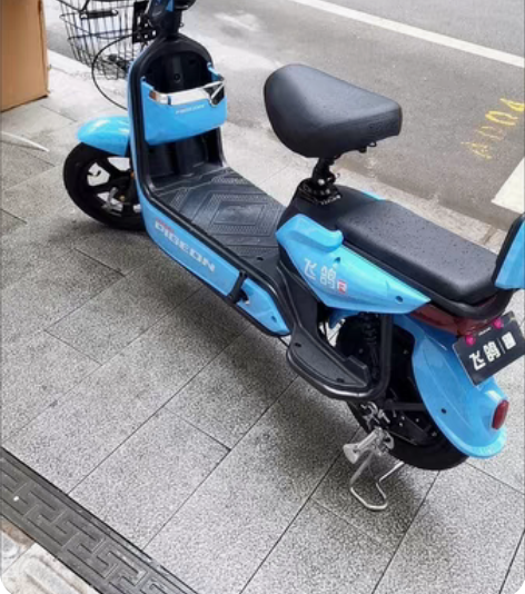 自用飞鸽电动车48v，24ah天能电池，无拆卸无更换部件，使...