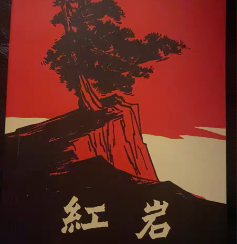 《红岩》，买来翻了几页，基本全新 感兴趣的...