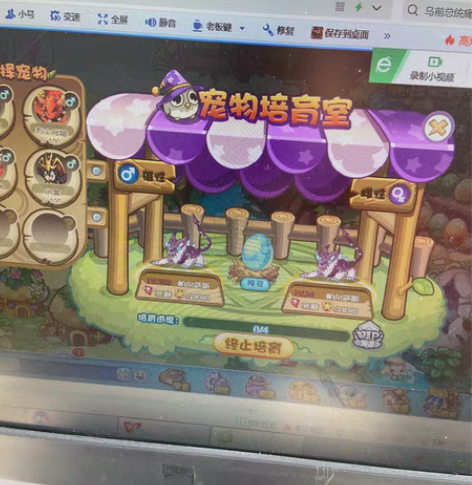洛克王国宠物蛋,格格布,萨尔萨斯,全部现货...