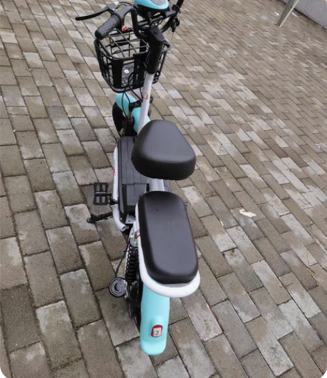 雅迪踏板电动车，电池60-20的，电池不能...