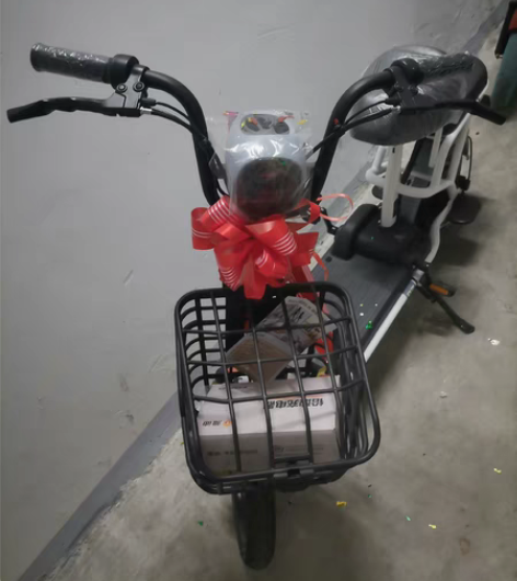 全新电动车,过年充物业费中奖得的,市场价1...