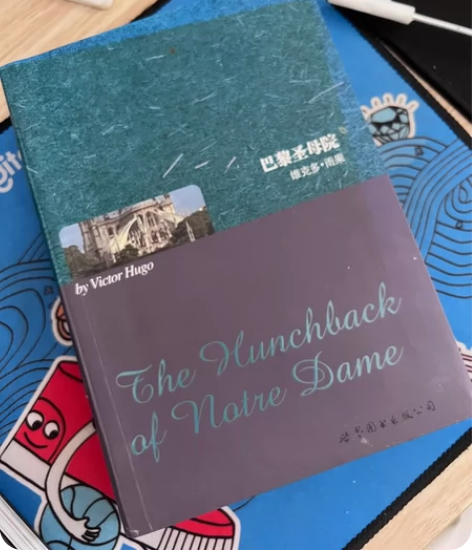 巴黎圣母院英文版,不包邮 感兴趣的话点“我...