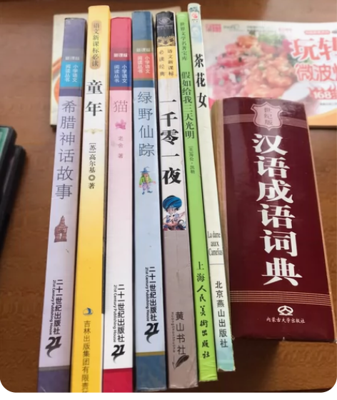 二手书,假期推荐书,假如给我三天光明,茶花...