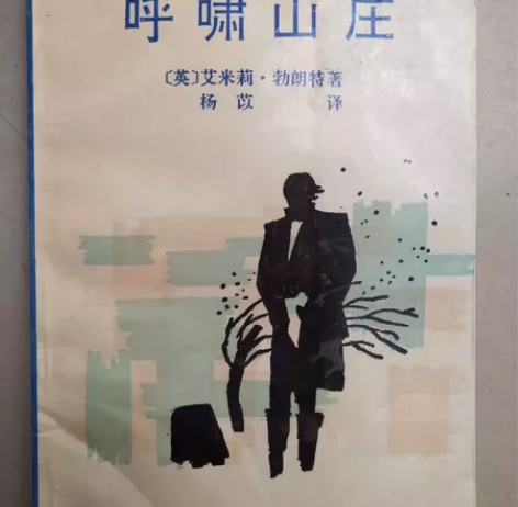文学名著《呼啸山庄》 #出闲置图书￥3￥14