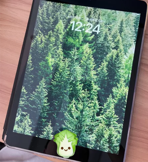 iPad2019,128g,灰色 2020...