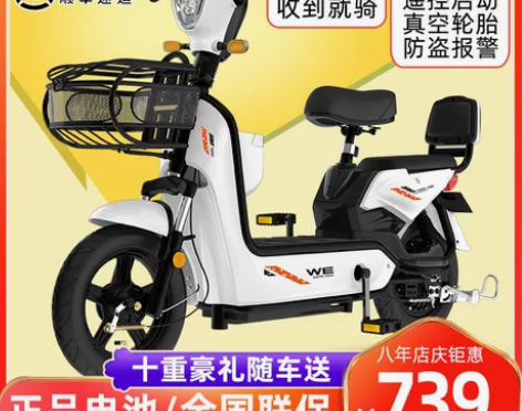 中富新国标轻便电动自行车48V小型电瓶车,...