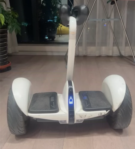 小米九号平衡车，小孩不骑了，仅自提！ 感兴...