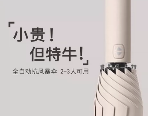 大号全新雨伞长柄折叠伞全自动24骨双龙骨太...